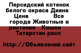 Персидский котенок белого окраса Диана › Цена ­ 40 000 - Все города Животные и растения » Кошки   . Татарстан респ.